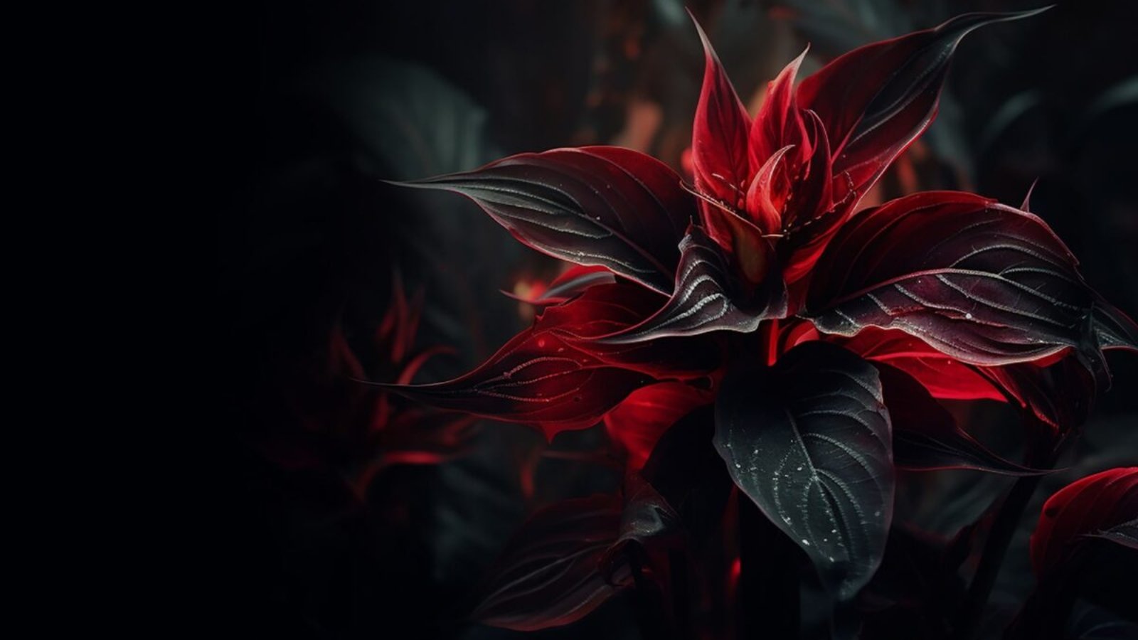 blog_skin_zinest_02-1200x800